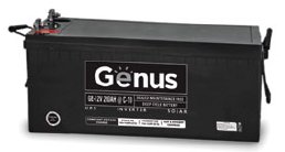 genus