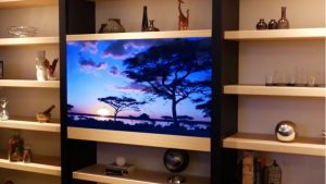 Panasonic invisible TV, smart TV, new launch, India