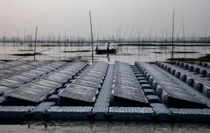 Irai dam, floating solar plant, solar power, Maharashtra, India