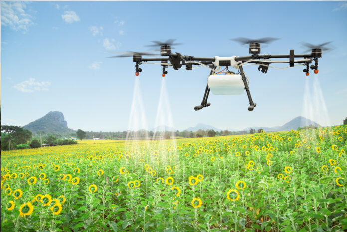 Agriculture drone spraying water fertiliser on the sunflower field